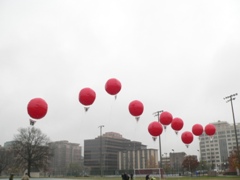 Balloons launched for DARPA Network Challenge